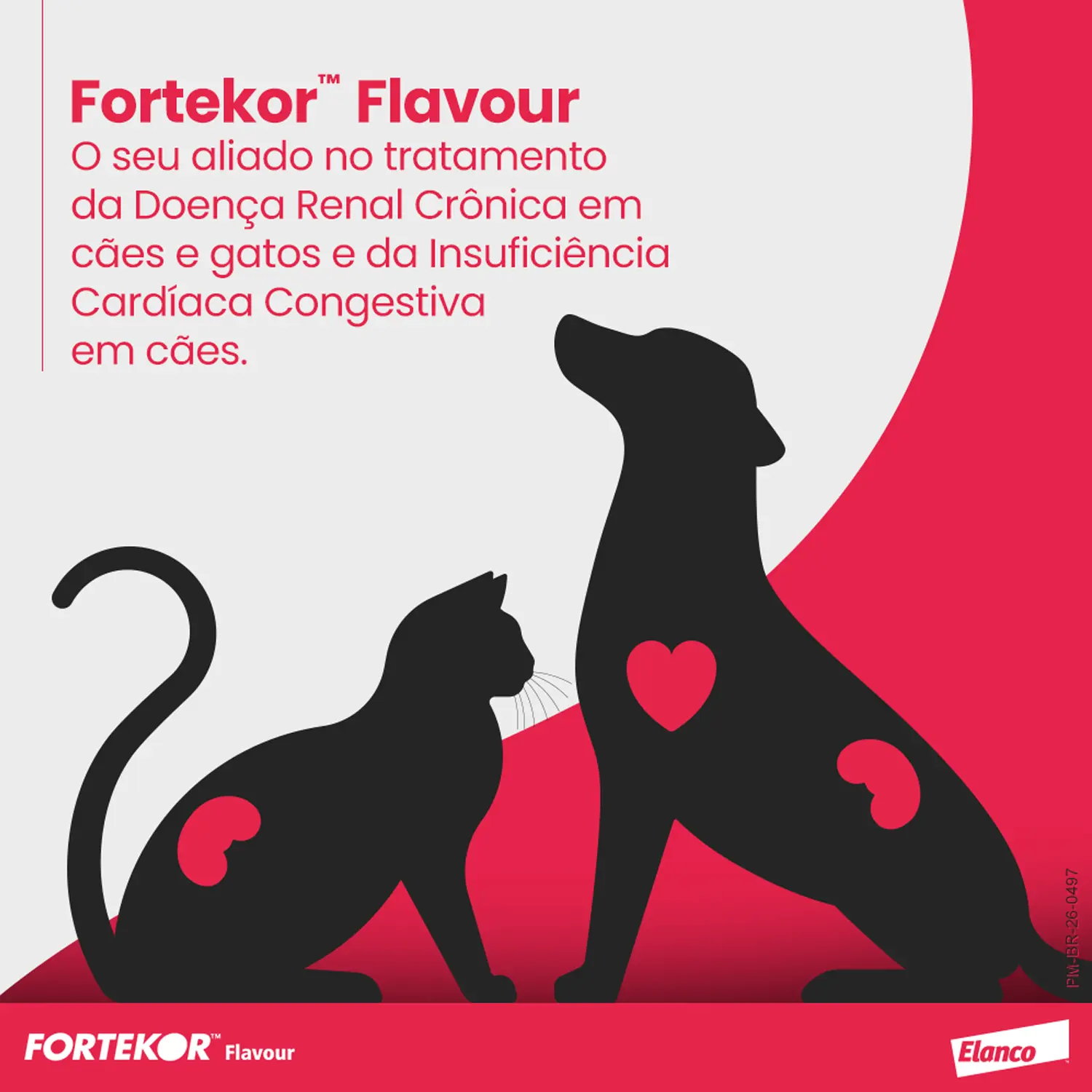 Fortekor Flavour 5 mg para Insuficiência Cardíaca Congestiva e Doença Renal Crônica